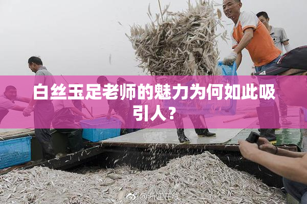 白丝玉足老师的魅力为何如此吸引人？