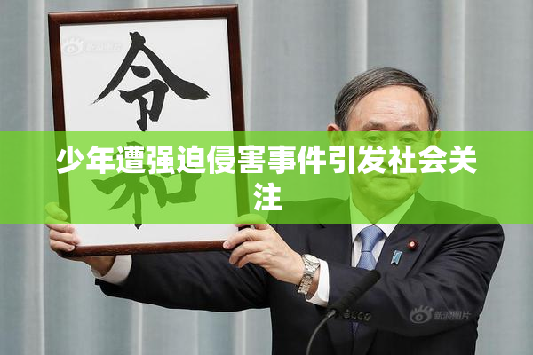 少年遭强迫侵害事件引发社会关注
