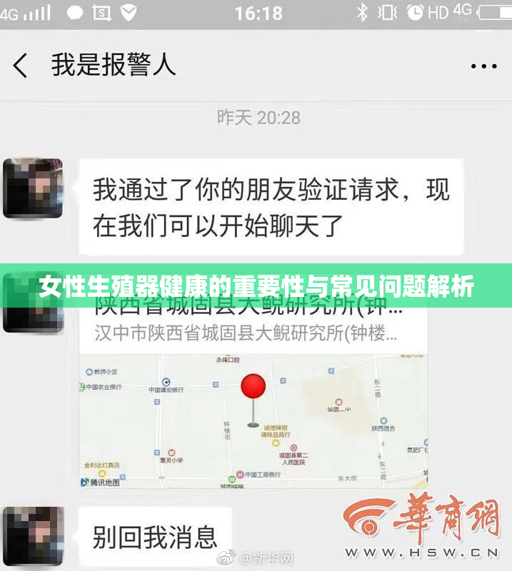 女性生殖器健康的重要性与常见问题解析