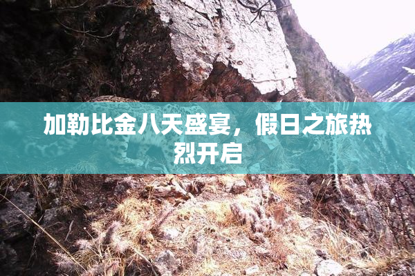 加勒比金八天盛宴，假日之旅热烈开启