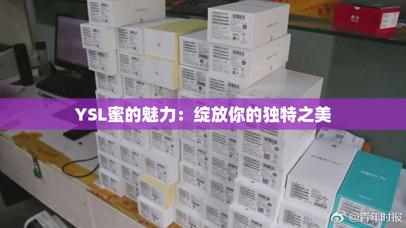 YSL蜜的魅力：绽放你的独特之美