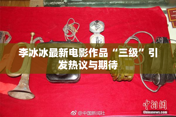 李冰冰最新电影作品“三级”引发热议与期待