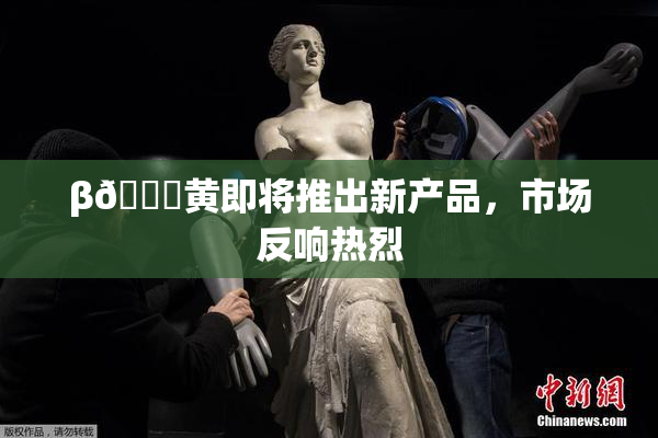 β🔞黄即将推出新产品，市场反响热烈