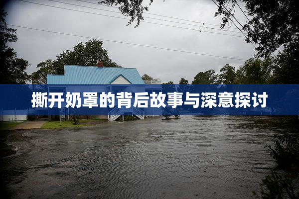 撕开奶罩的背后故事与深意探讨