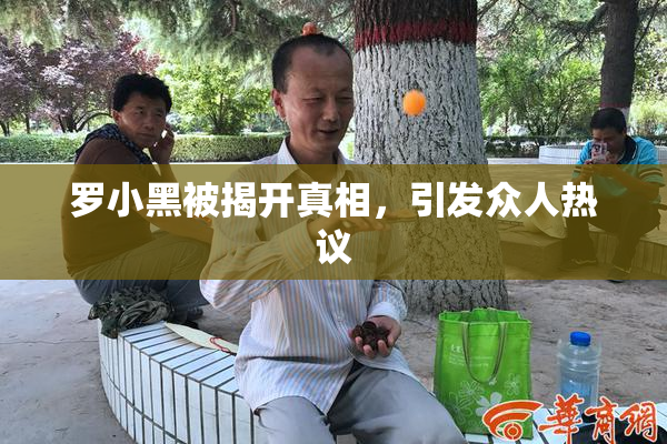 罗小黑被揭开真相，引发众人热议