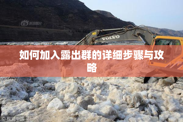 如何加入露出群的详细步骤与攻略