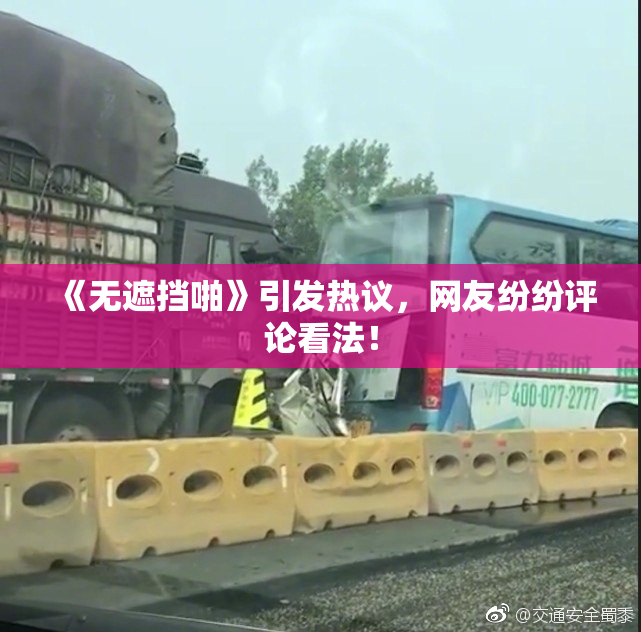 《无遮挡啪》引发热议，网友纷纷评论看法！