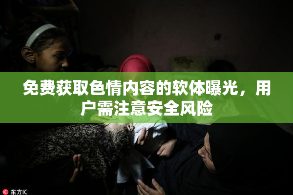 免费获取色情内容的软体曝光，用户需注意安全风险