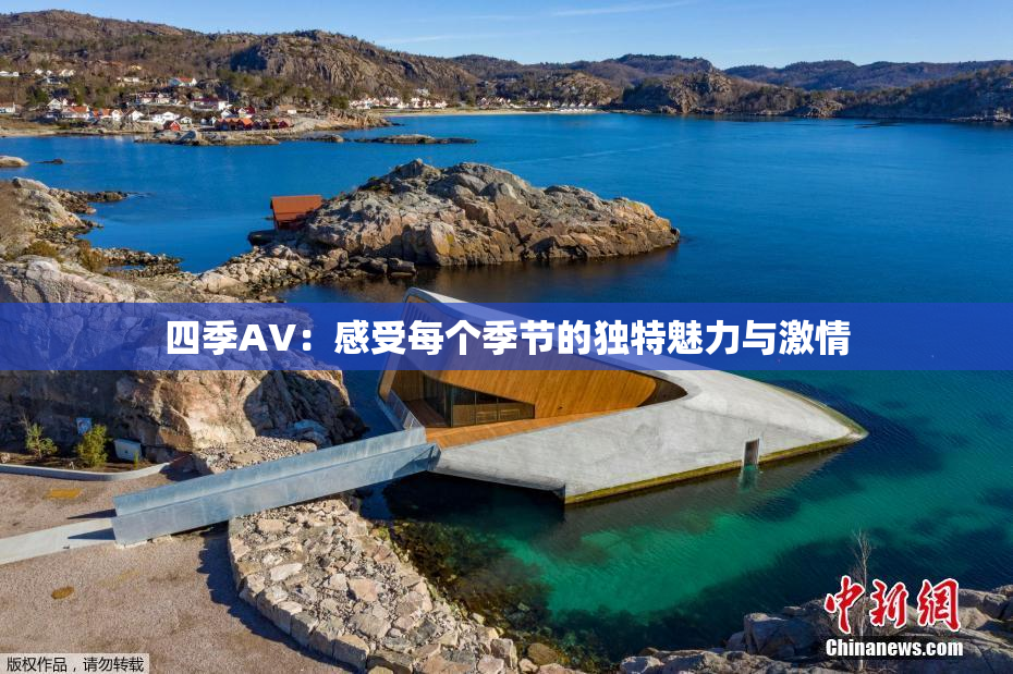 四季AV：感受每个季节的独特魅力与激情