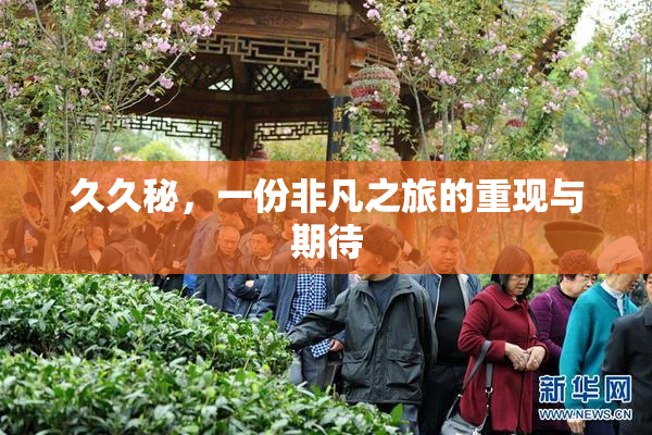 久久秘，一份非凡之旅的重现与期待