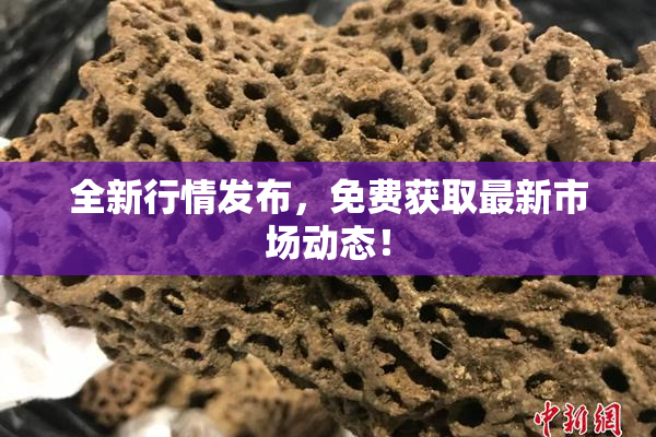 全新行情发布，免费获取最新市场动态！