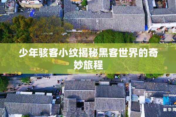 少年骇客小纹揭秘黑客世界的奇妙旅程