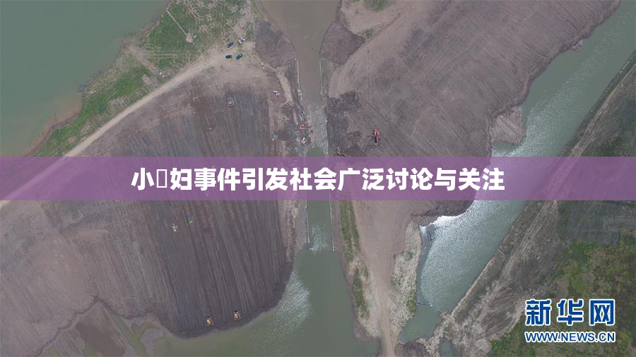 小婬妇事件引发社会广泛讨论与关注