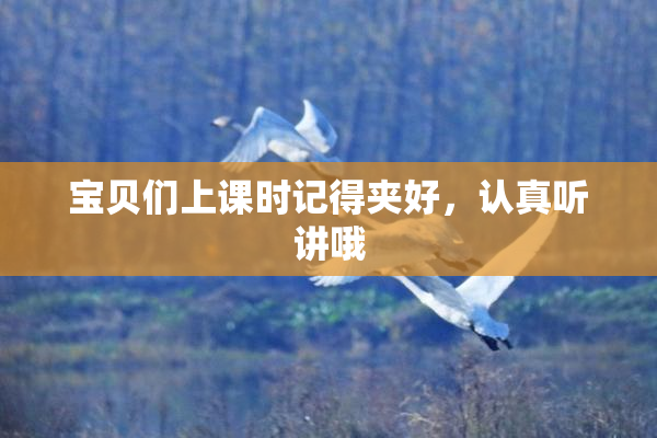 宝贝们上课时记得夹好，认真听讲哦