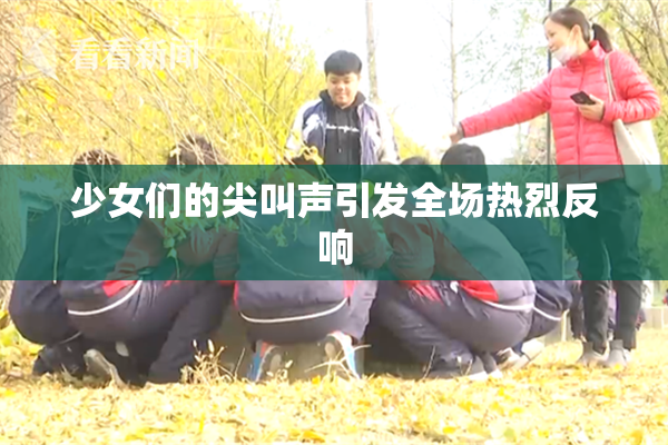 少女们的尖叫声引发全场热烈反响