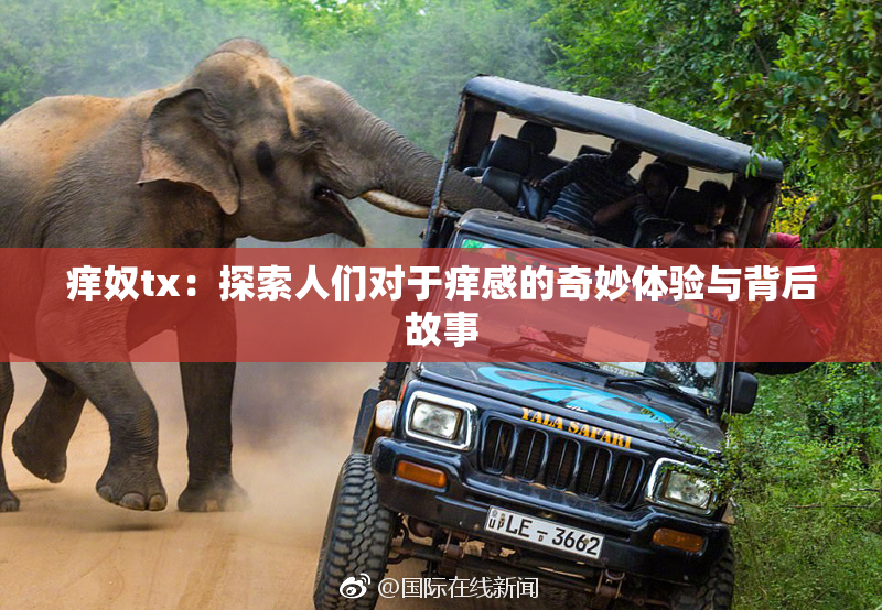 痒奴tx：探索人们对于痒感的奇妙体验与背后故事