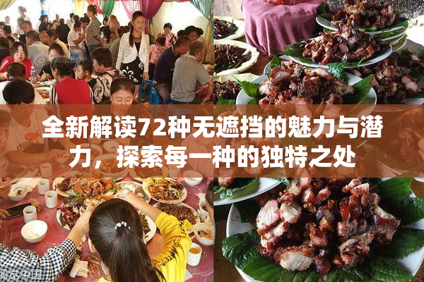 全新解读72种无遮挡的魅力与潜力，探索每一种的独特之处