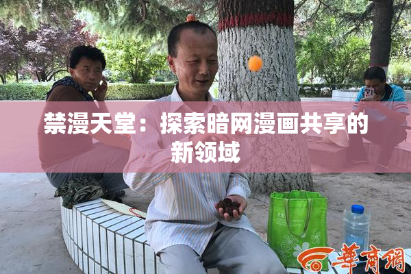 禁漫天堂：探索暗网漫画共享的新领域