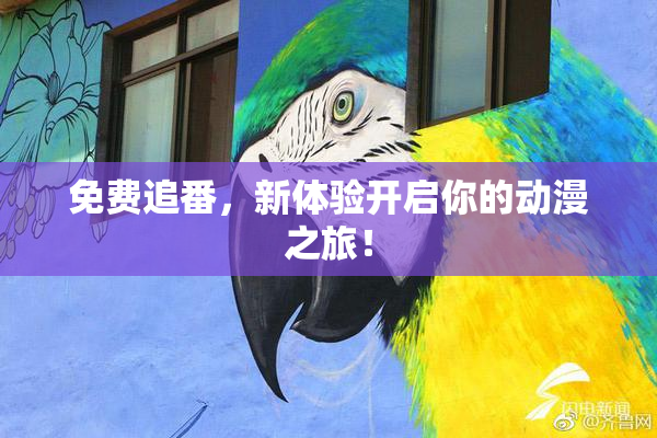免费追番，新体验开启你的动漫之旅！
