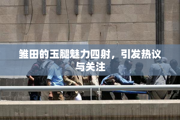 雏田的玉腿魅力四射，引发热议与关注