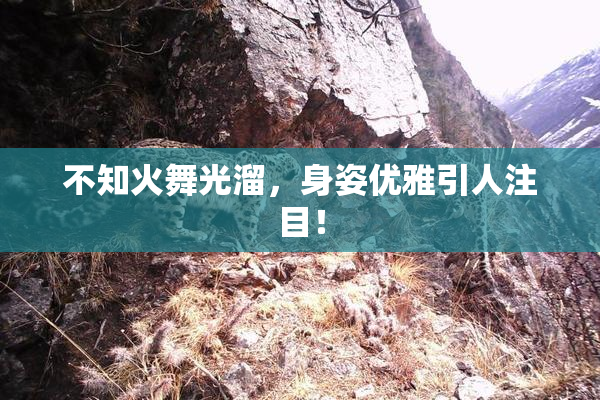 不知火舞光溜，身姿优雅引人注目！