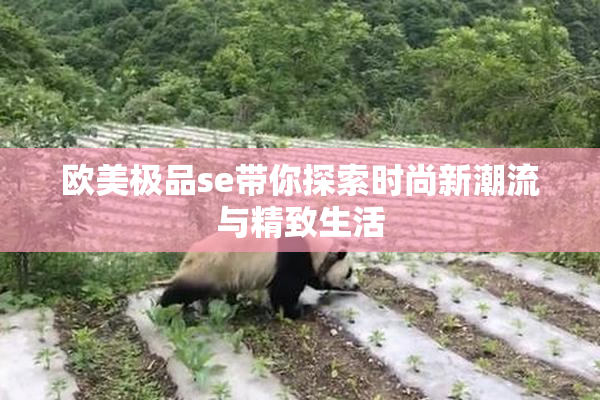 欧美极品se带你探索时尚新潮流与精致生活