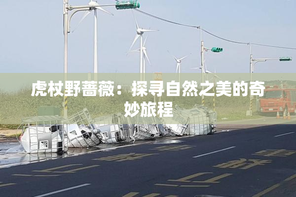 虎杖野蔷薇：探寻自然之美的奇妙旅程