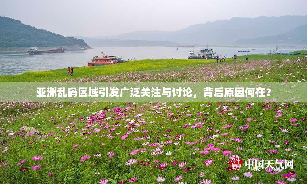 亚洲乱码区域引发广泛关注与讨论，背后原因何在？