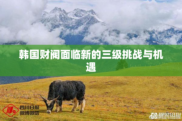 韩国财阀面临新的三级挑战与机遇