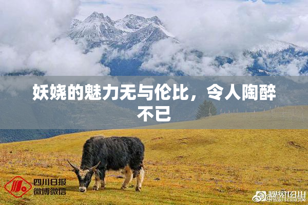妖娆的魅力无与伦比，令人陶醉不已