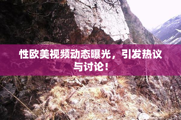 性欧美视频动态曝光，引发热议与讨论！