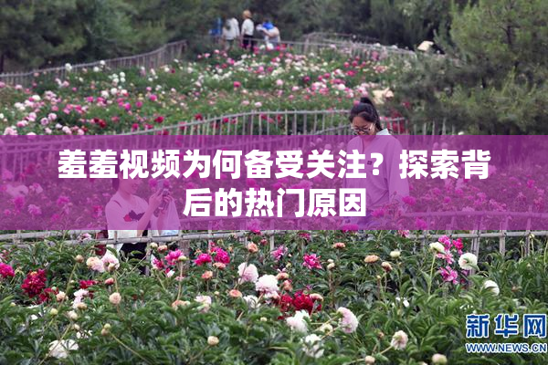 羞羞视频为何备受关注？探索背后的热门原因