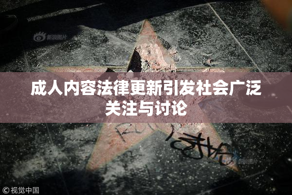 成人内容法律更新引发社会广泛关注与讨论