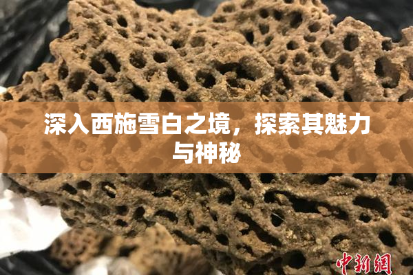 深入西施雪白之境，探索其魅力与神秘