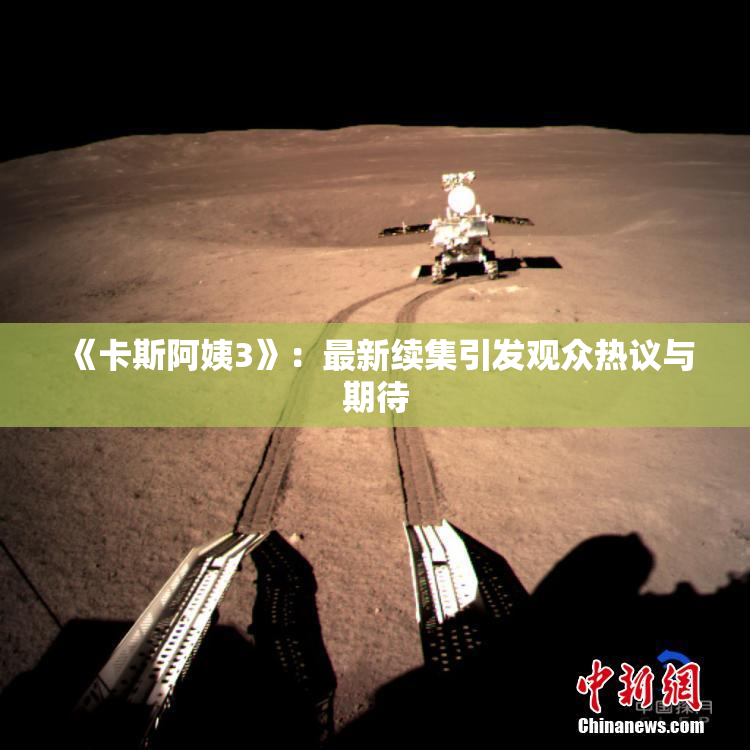《卡斯阿姨3》：最新续集引发观众热议与期待