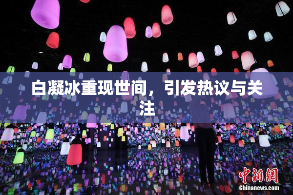 白凝冰重现世间，引发热议与关注