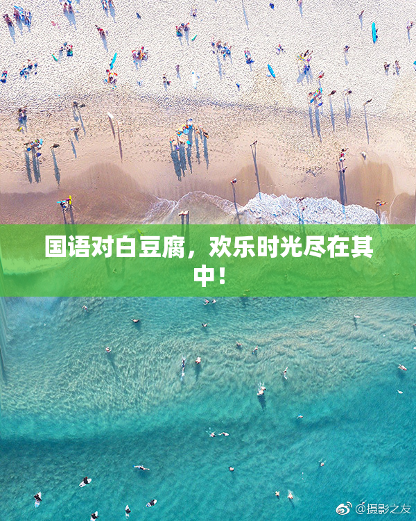 国语对白豆腐，欢乐时光尽在其中！