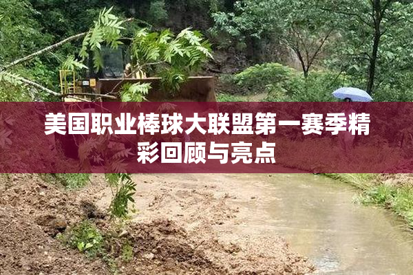 美国职业棒球大联盟第一赛季精彩回顾与亮点