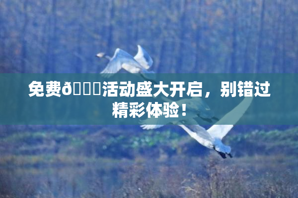免费🔞活动盛大开启，别错过精彩体验！