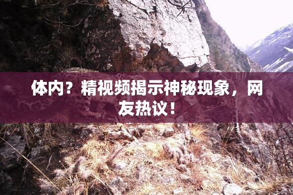 体内？精视频揭示神秘现象，网友热议！