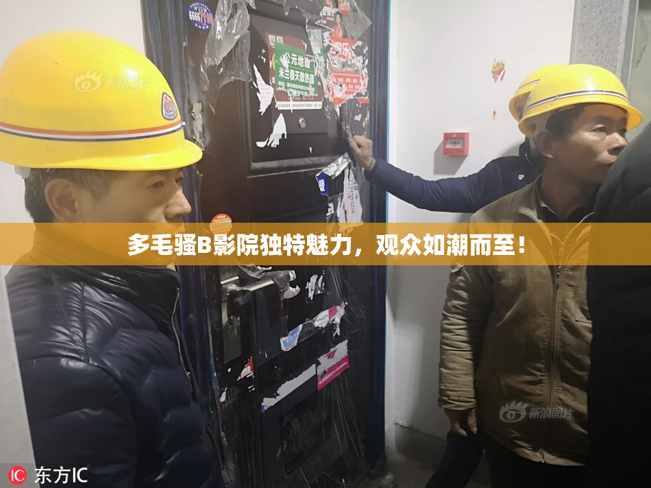 多毛骚B影院独特魅力，观众如潮而至！