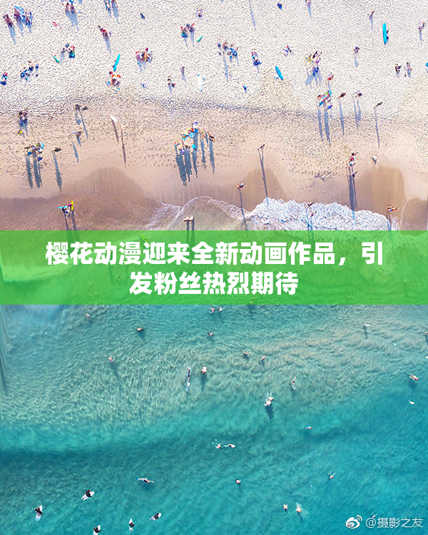 樱花动漫迎来全新动画作品，引发粉丝热烈期待