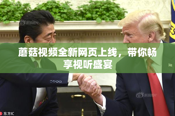 蘑菇视频全新网页上线，带你畅享视听盛宴