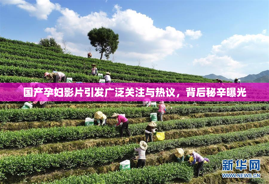 国产孕妇影片引发广泛关注与热议，背后秘辛曝光