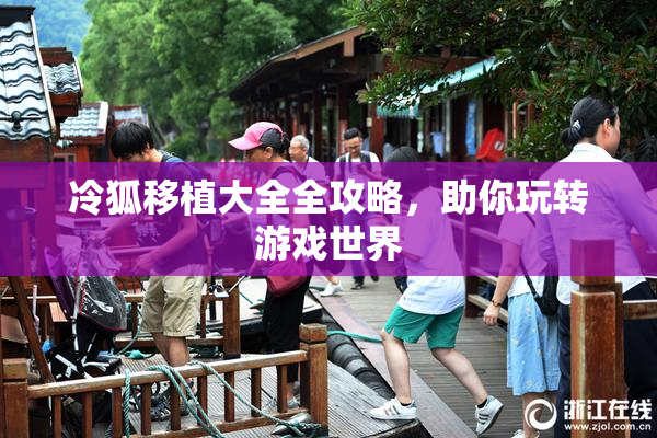 冷狐移植大全全攻略，助你玩转游戏世界