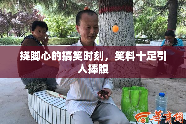 挠脚心的搞笑时刻，笑料十足引人捧腹