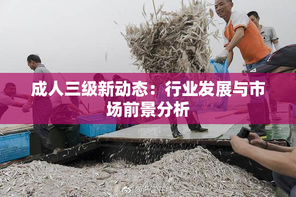 成人三级新动态：行业发展与市场前景分析