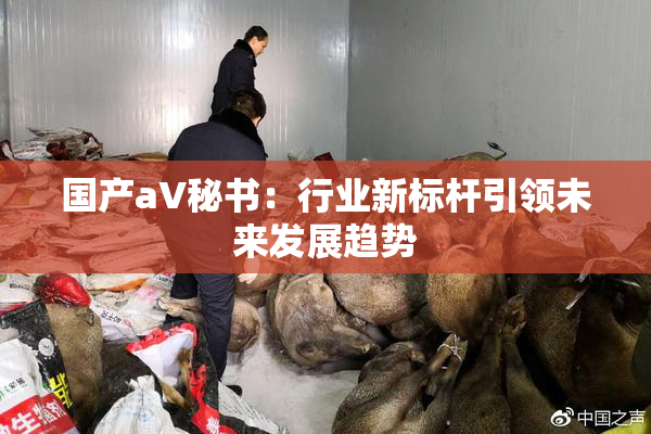 国产aV秘书：行业新标杆引领未来发展趋势