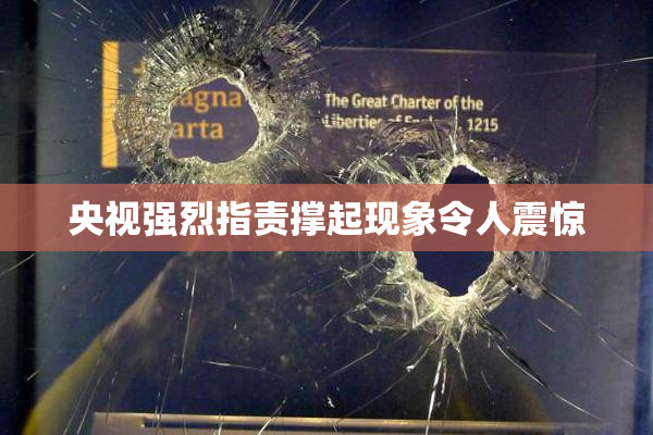 央视强烈指责撑起现象令人震惊