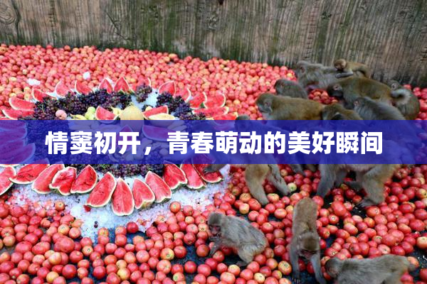 情窦初开，青春萌动的美好瞬间